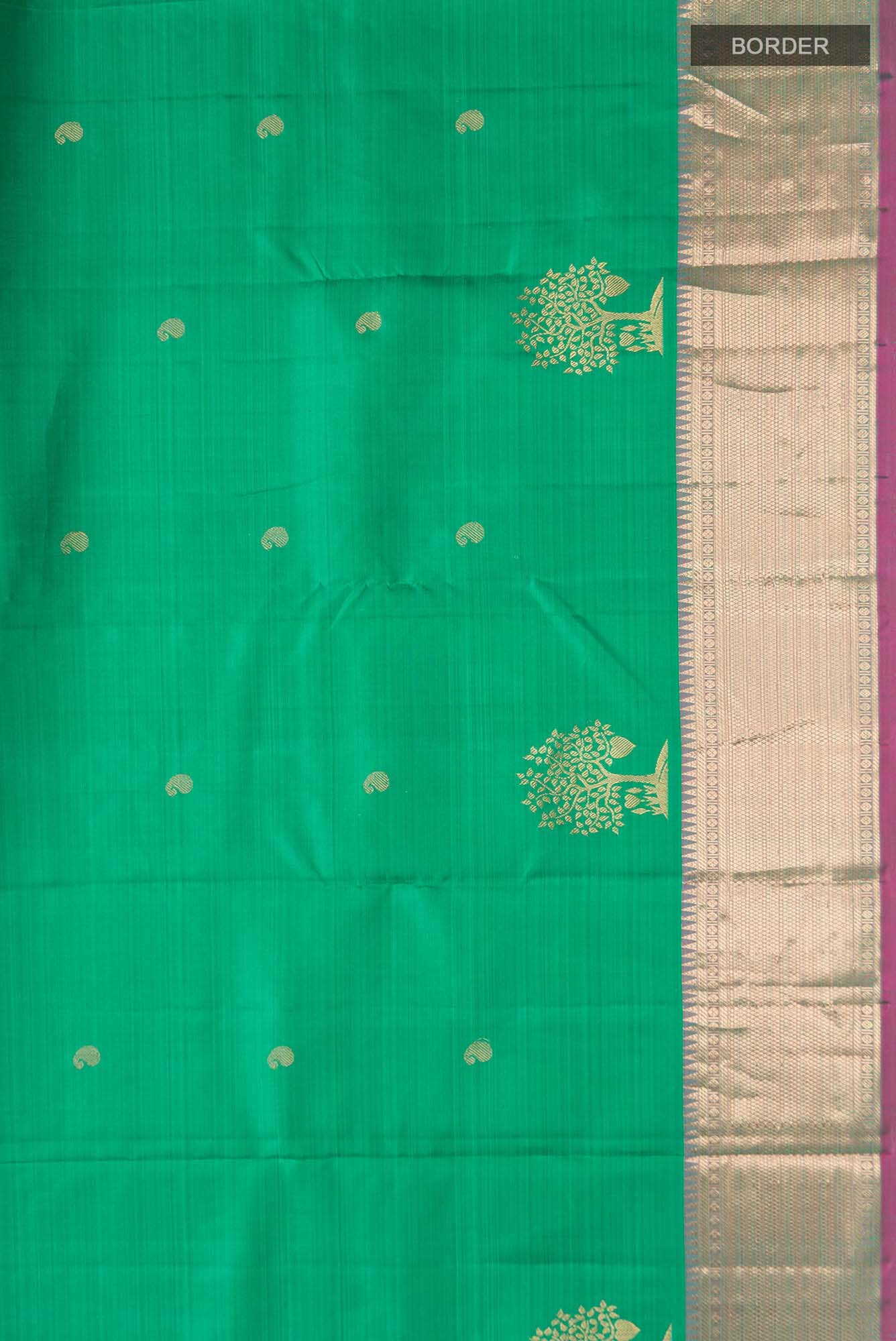 Green Kanchipuram Silk Saree