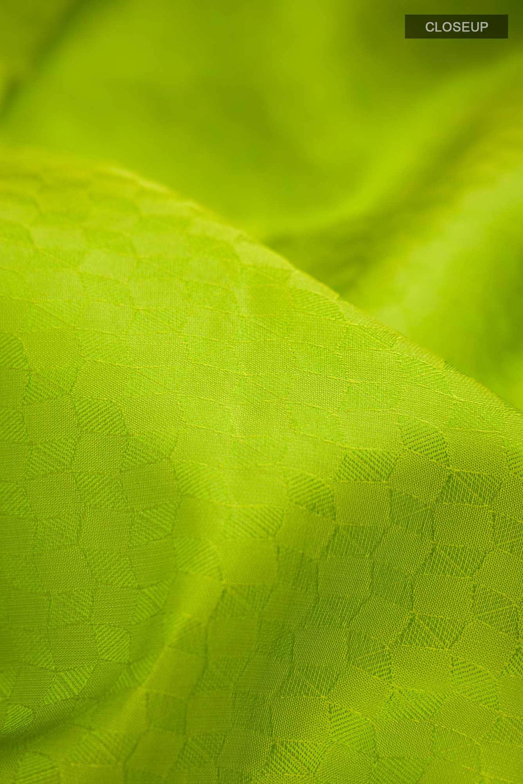 Parrot Green Kanchipuram Silk Saree