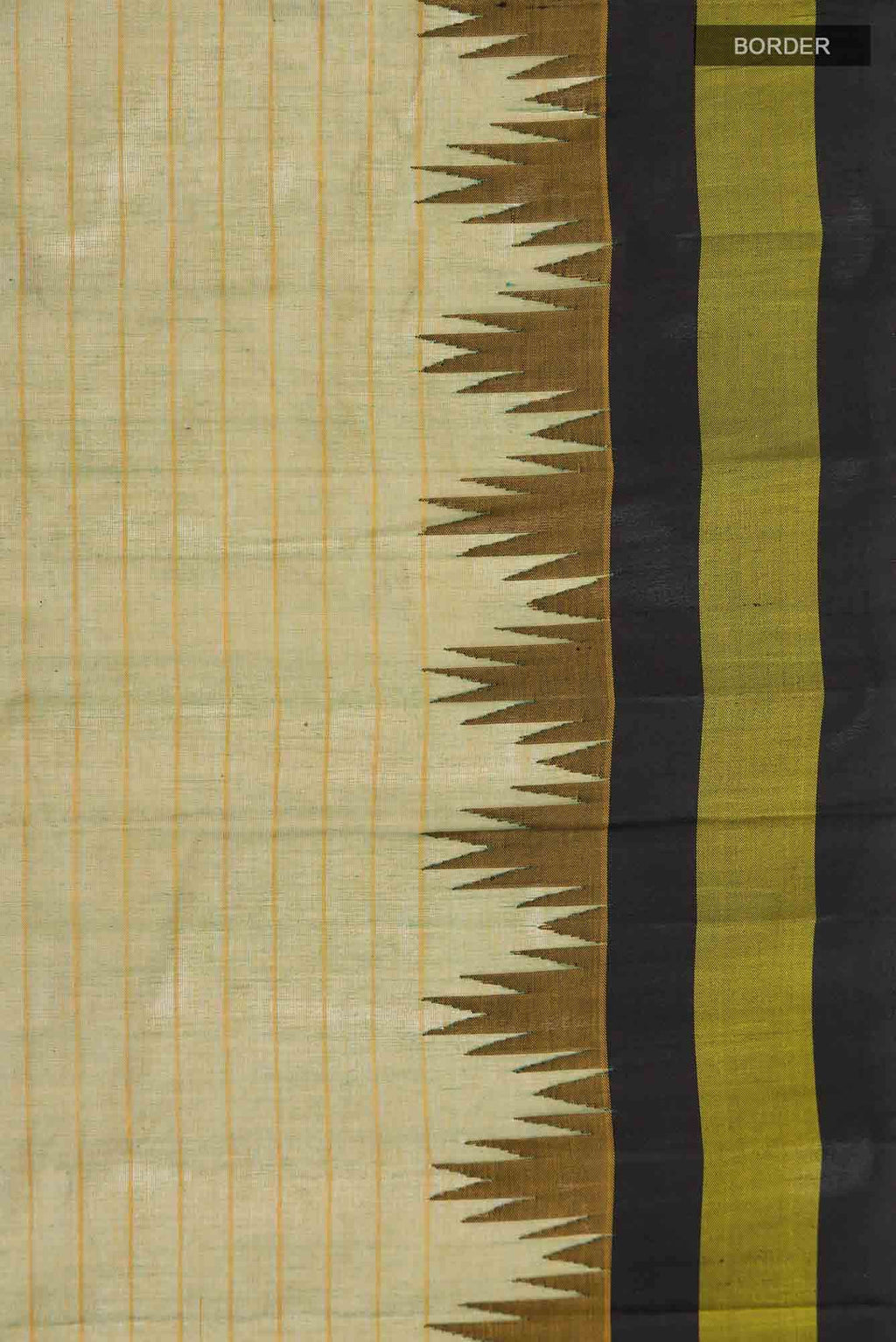 Green Kanchi Cotton Saree