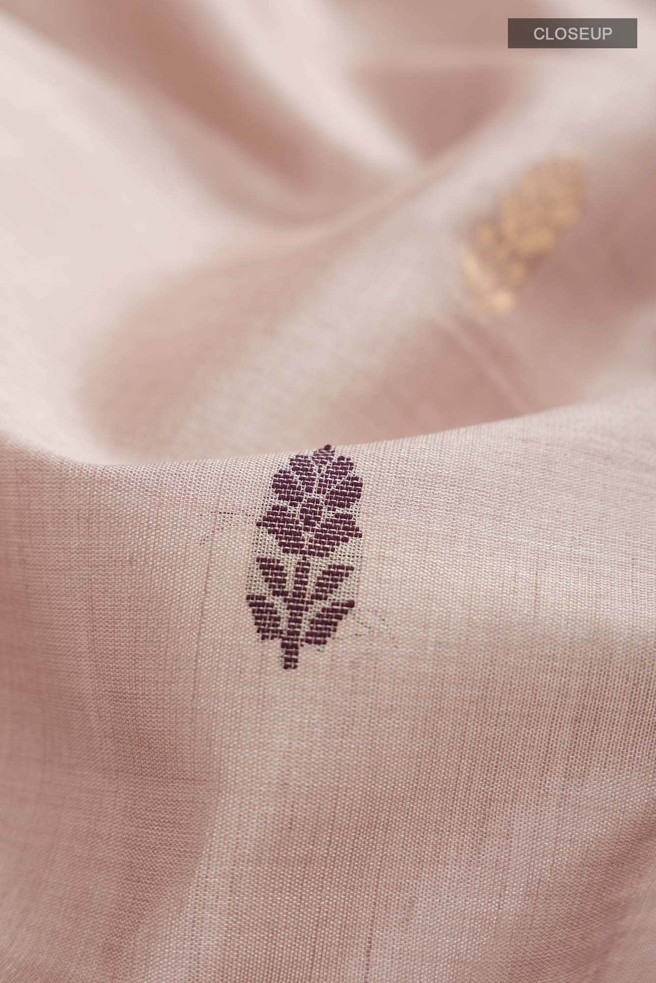 Beige Bhagalpuri Tussar Silk Saree