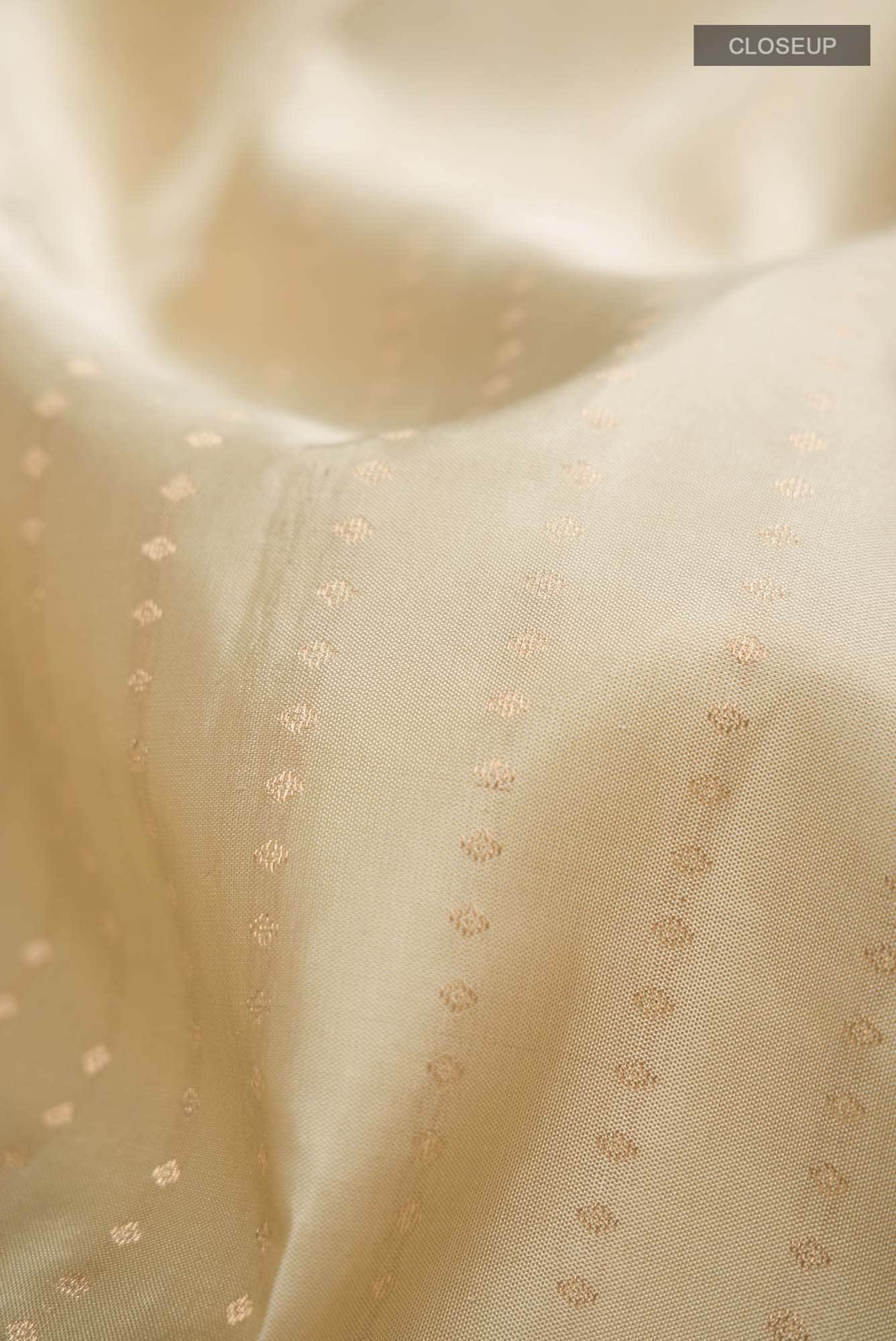 Beige Kanchipuram Silk Saree