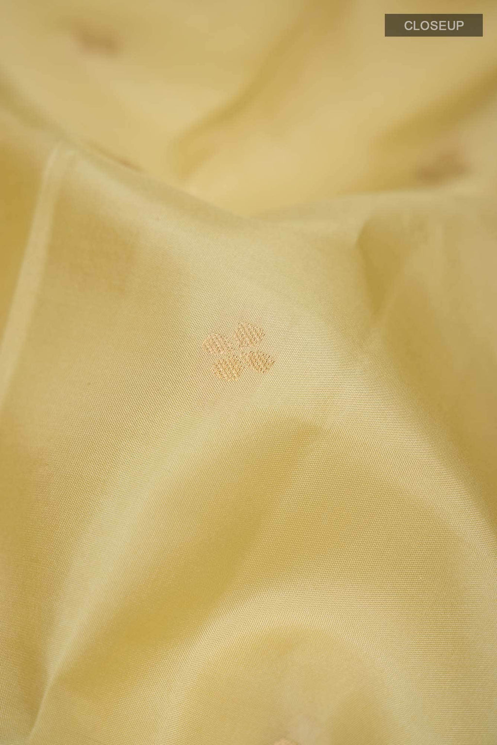 Beige Kanchipuram Silk Saree