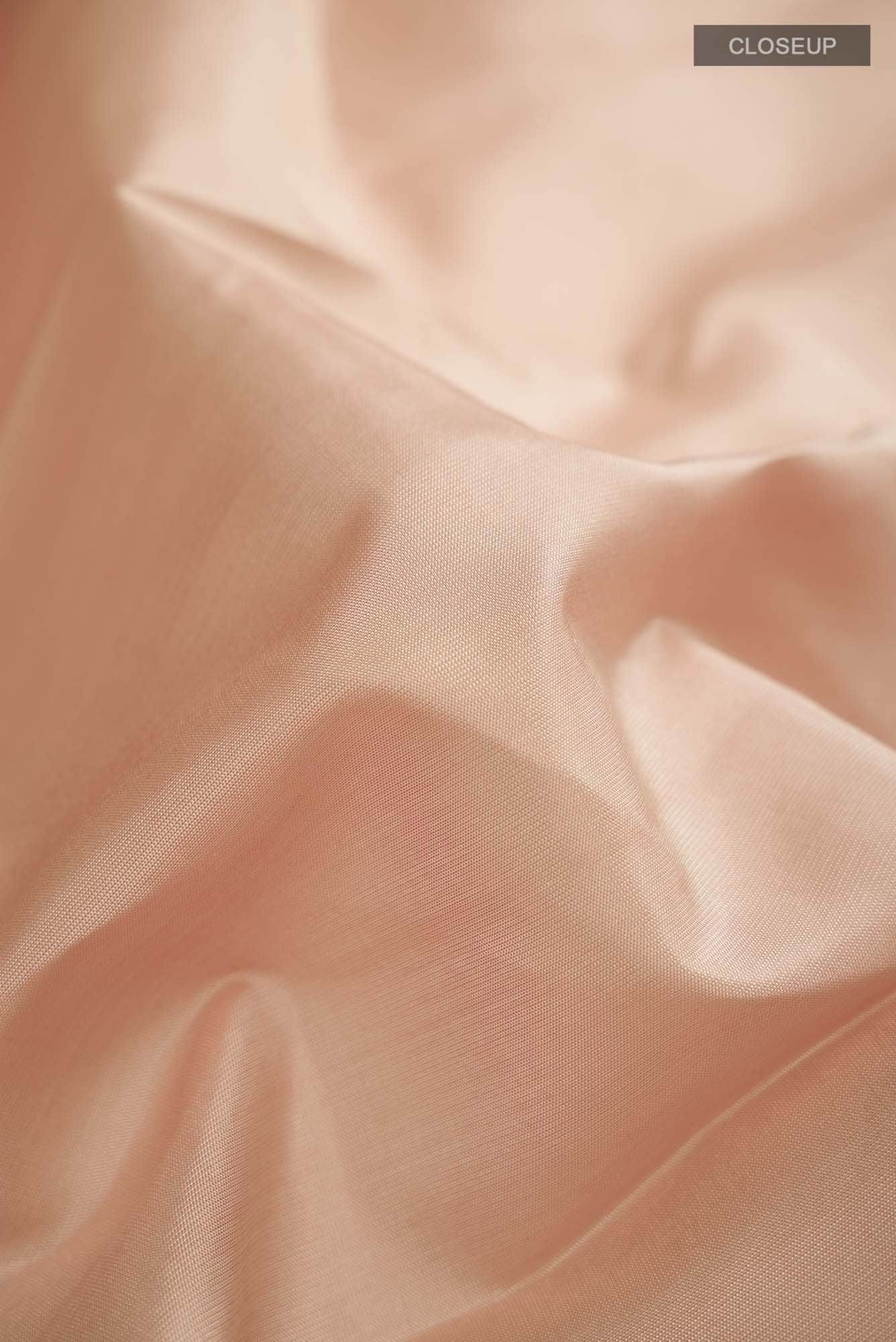 Beige Kanchipuram Silk Saree