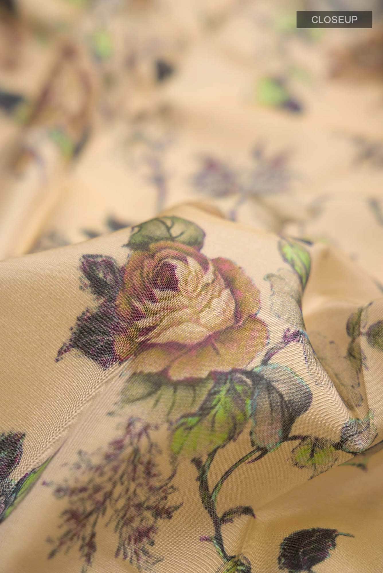 Beige Bangalore Silk Saree