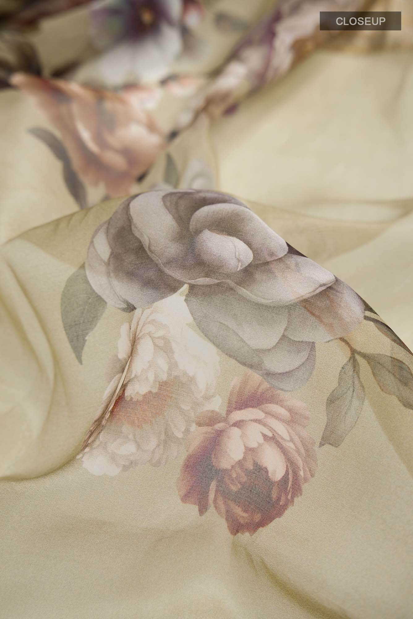 Dark Beige Organza Silk Saree