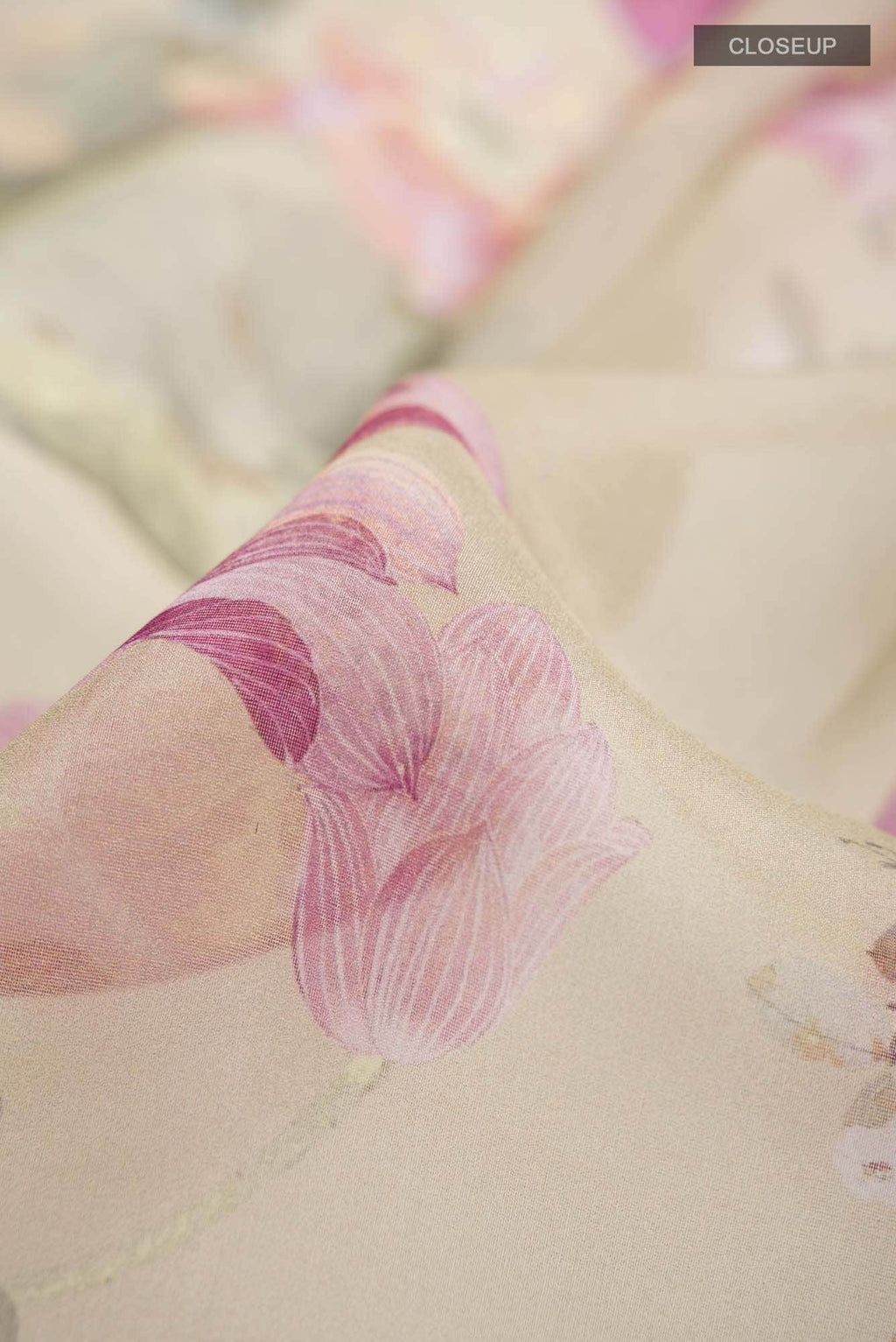 Beige Organza Silk Saree