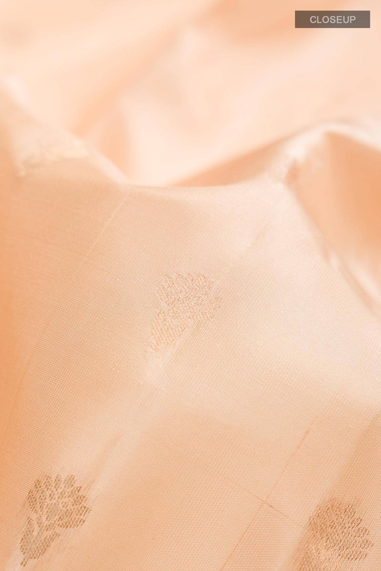 Beige Kanchipuram Silk Saree