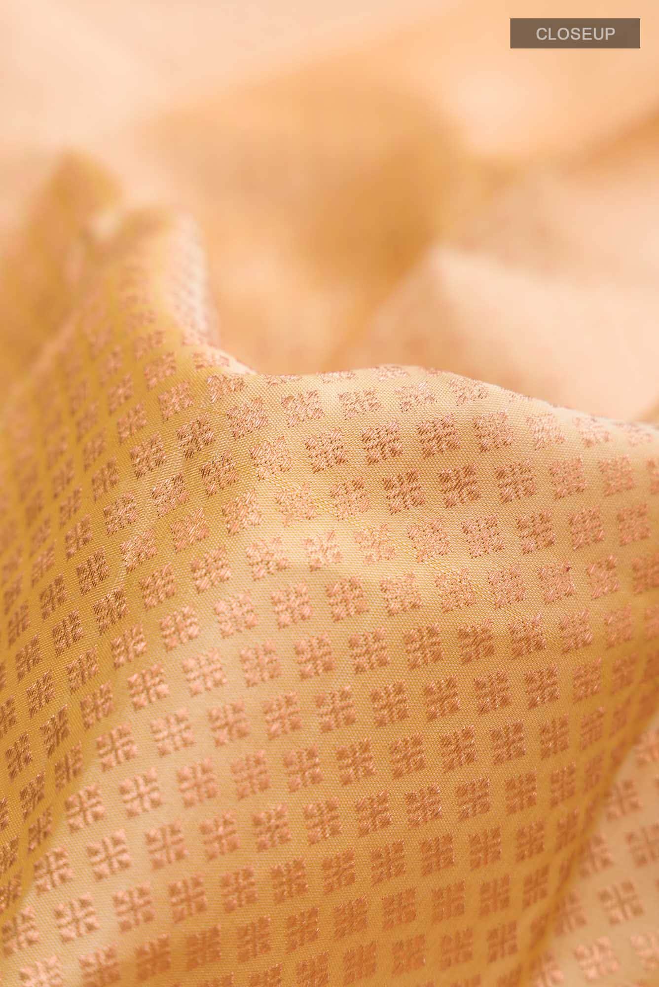 Beige Kanchipuram Silk Saree