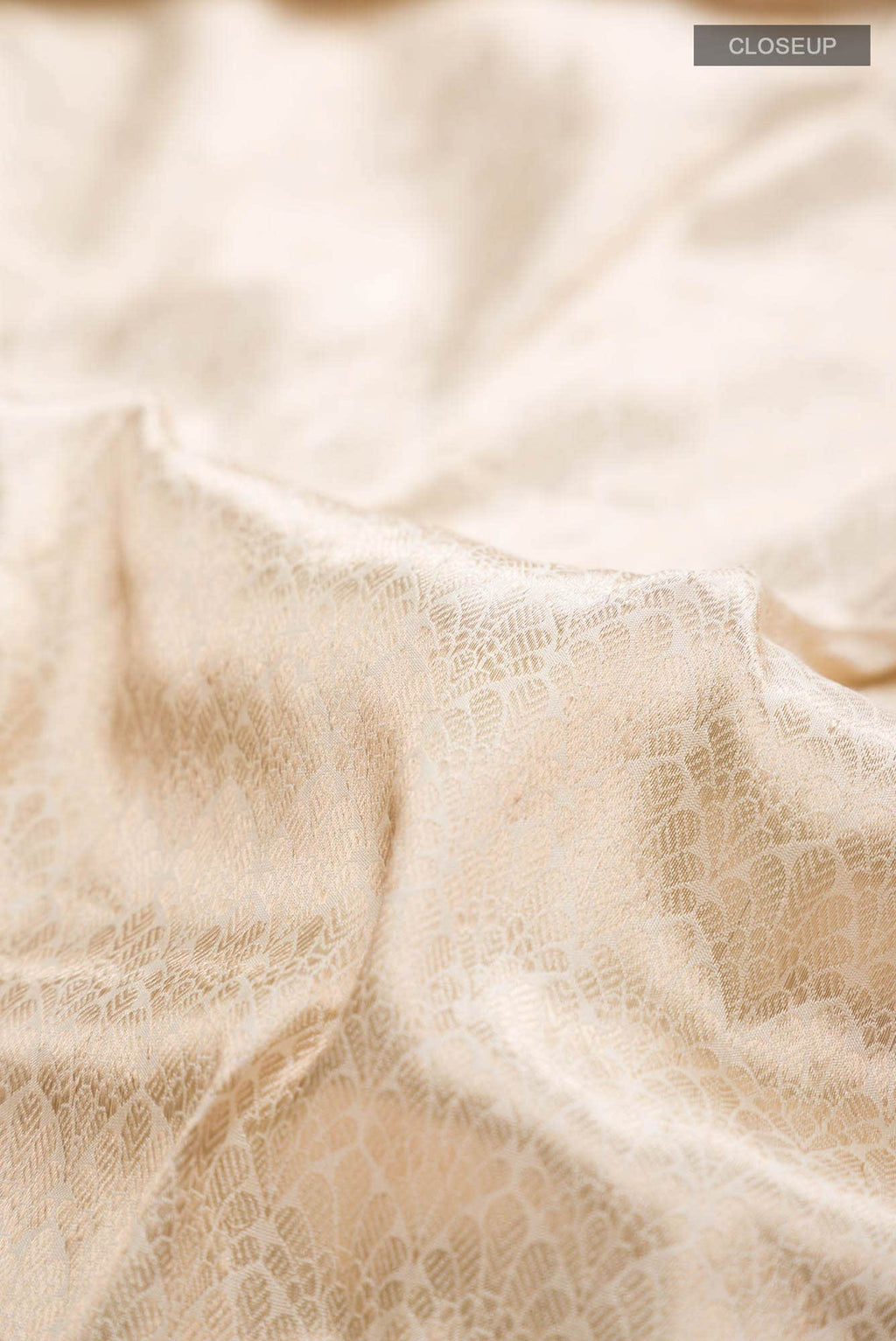 Beige Banarasi Katan Silk Saree
