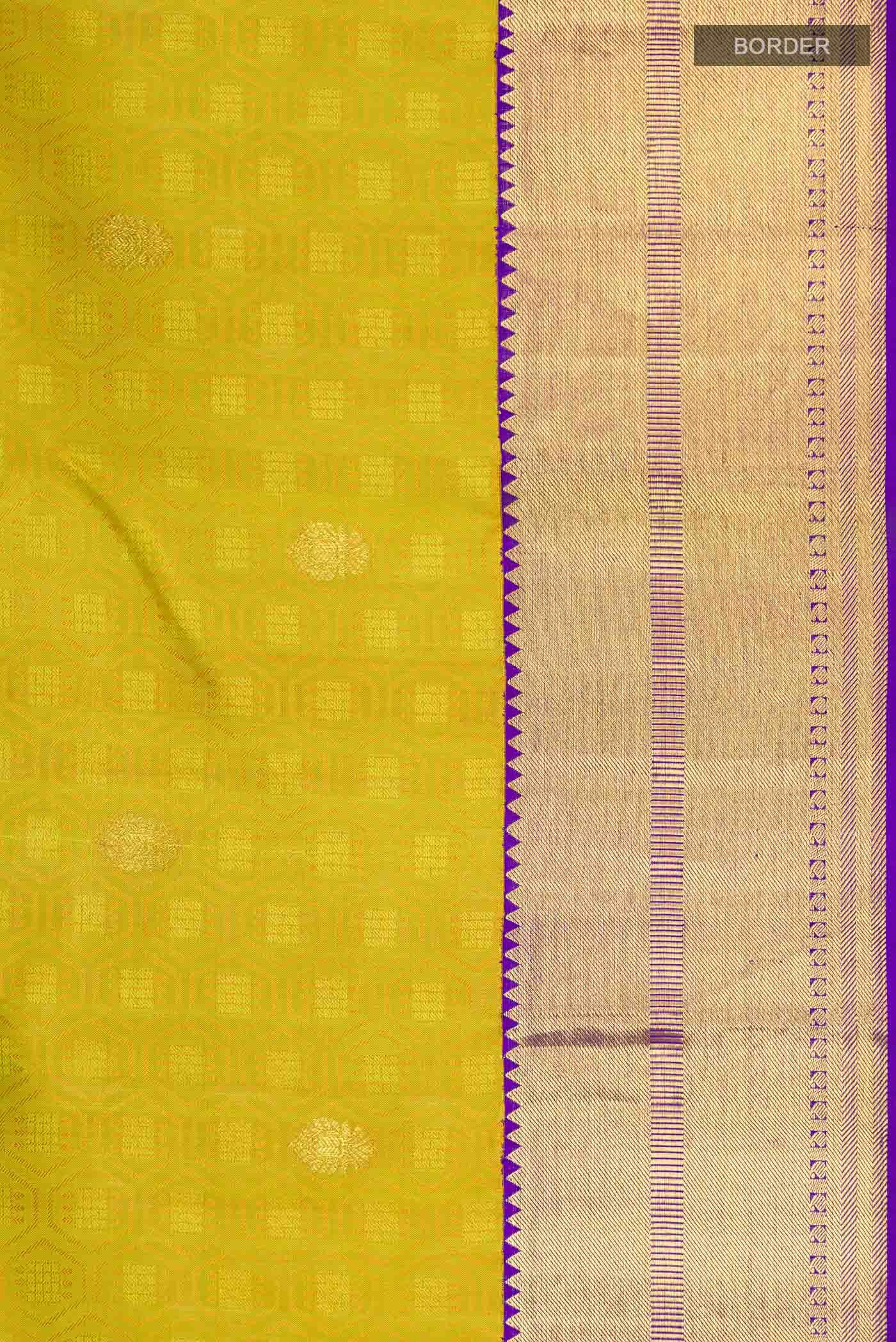 Multi Kanchipuram Silk Saree