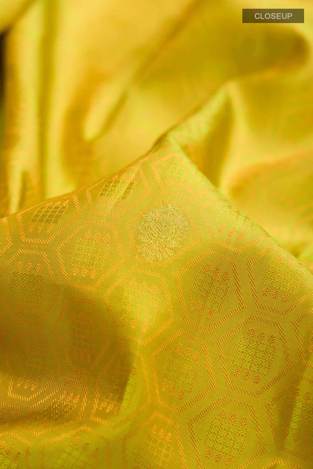 Multi Kanchipuram Silk Saree