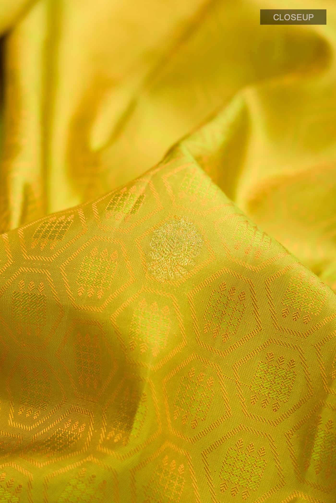 Multi Kanchipuram Silk Saree