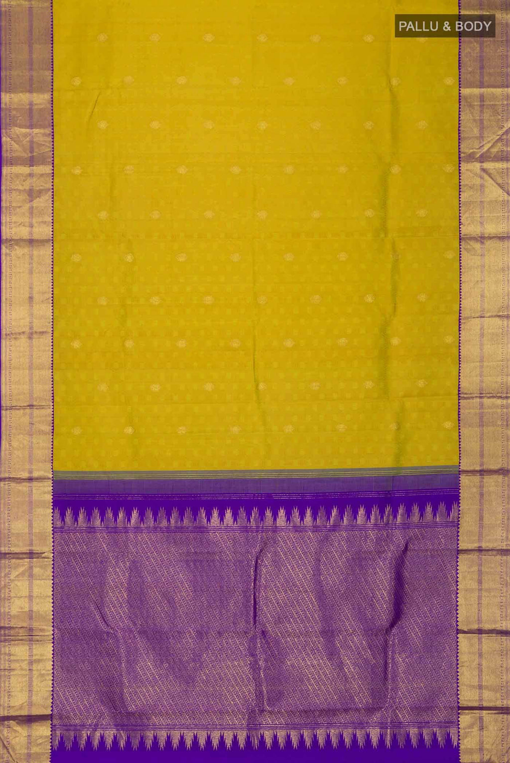 Multi Kanchipuram Silk Saree