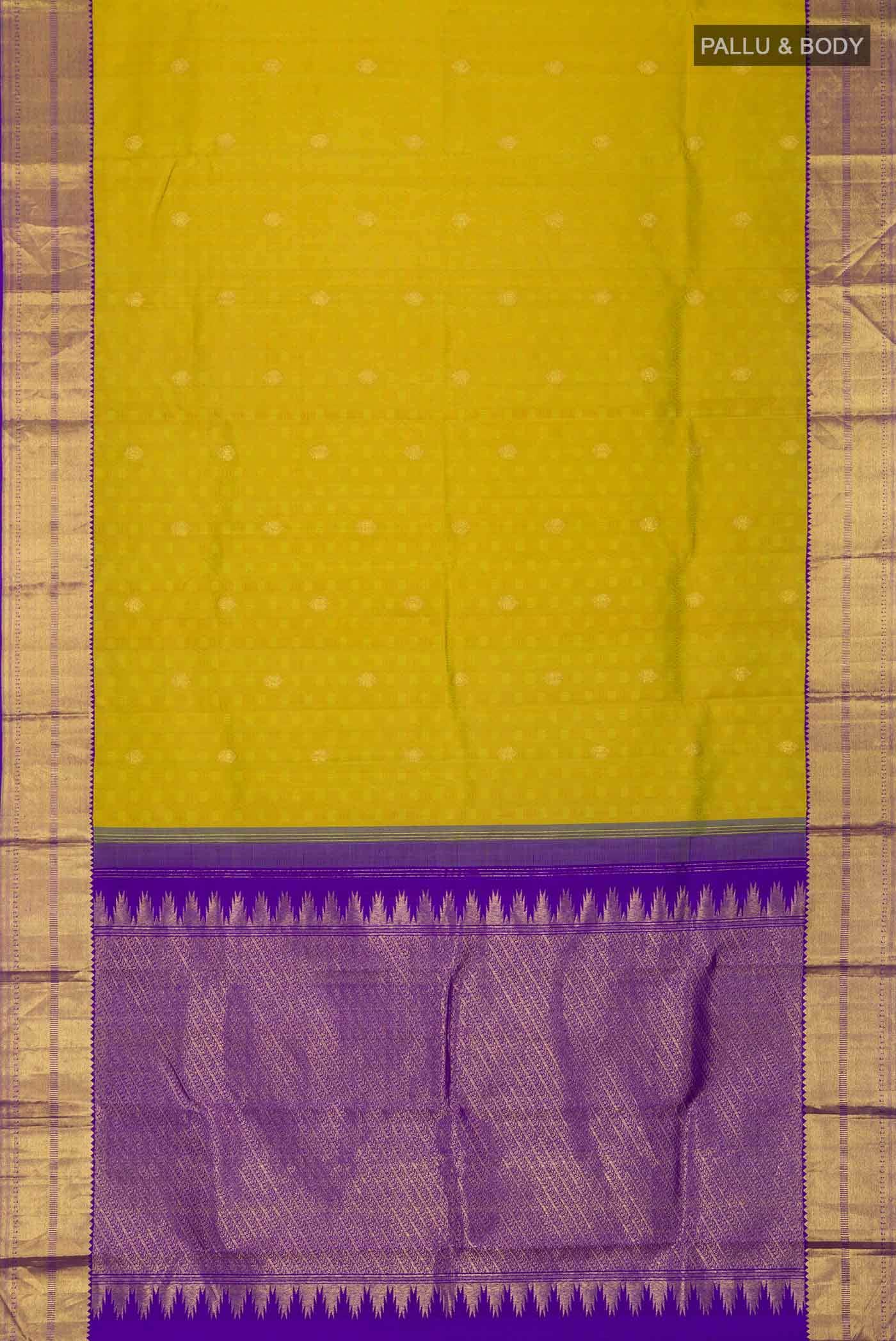 Multi Kanchipuram Silk Saree