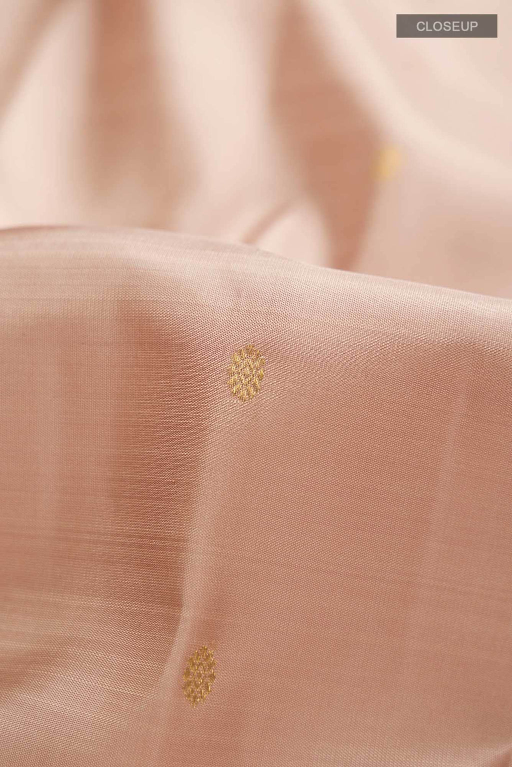 Beige Kanchipuram Silk Saree