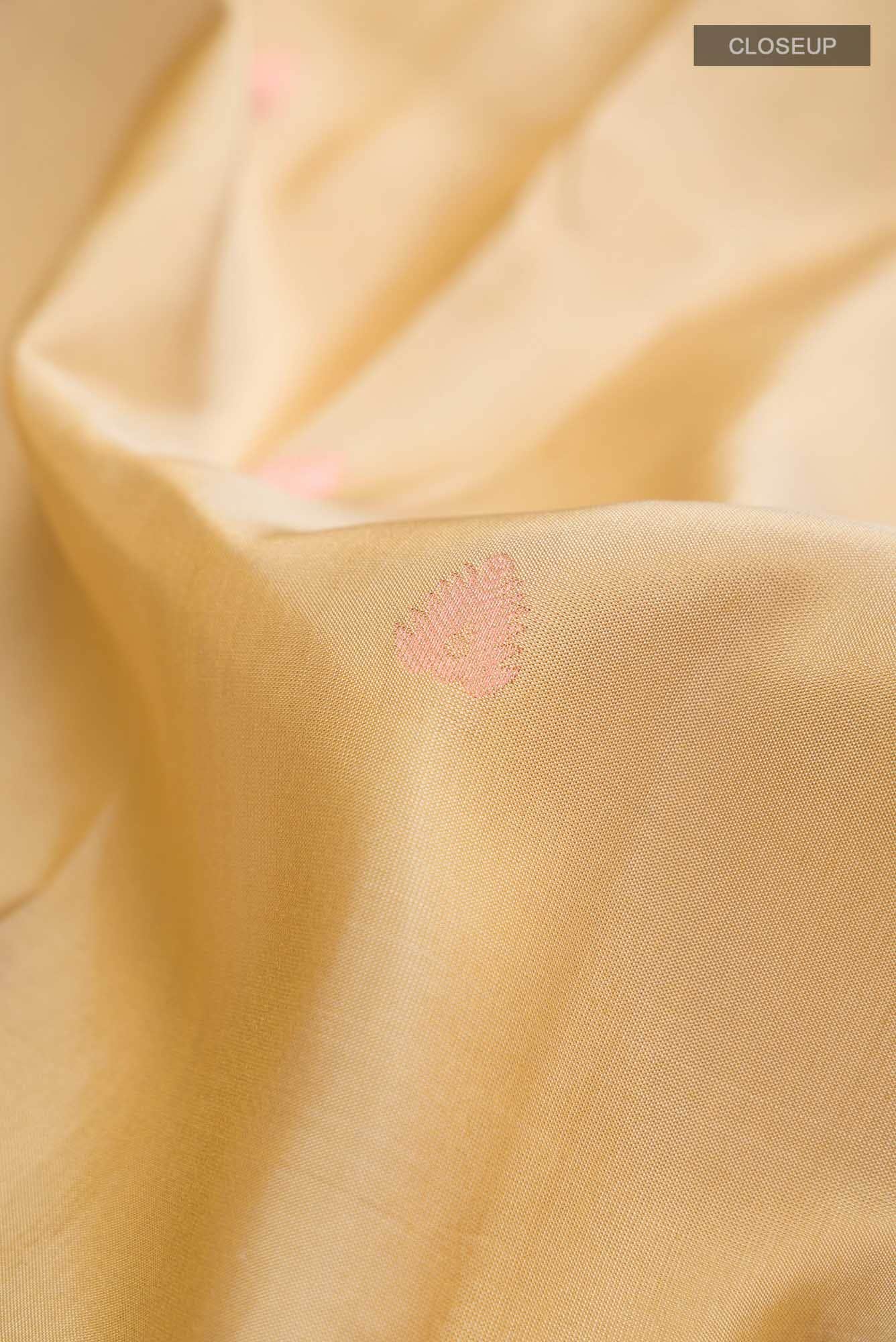 Beige Kanchipuram Silk Saree