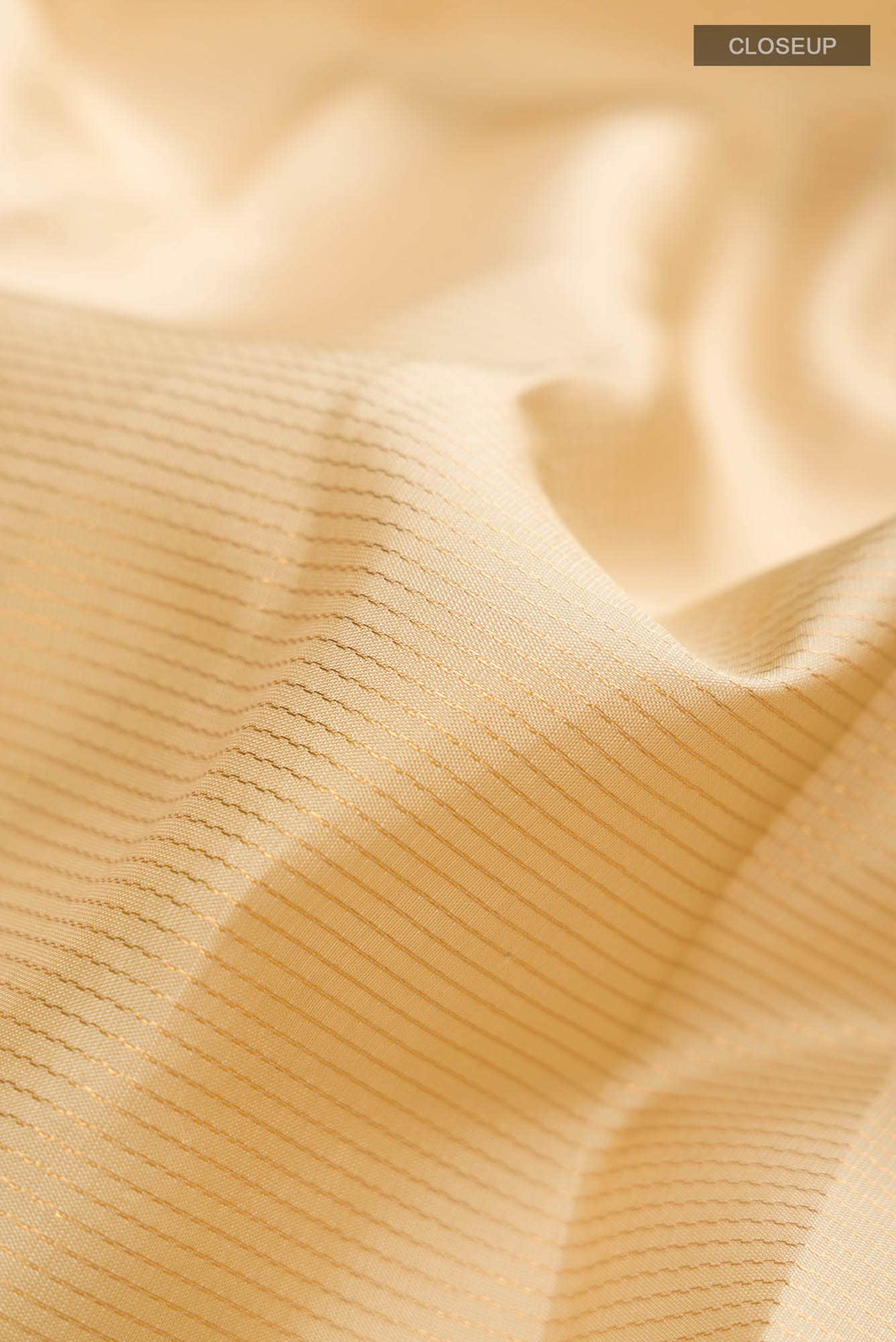 Beige Kanchipuram Silk Saree