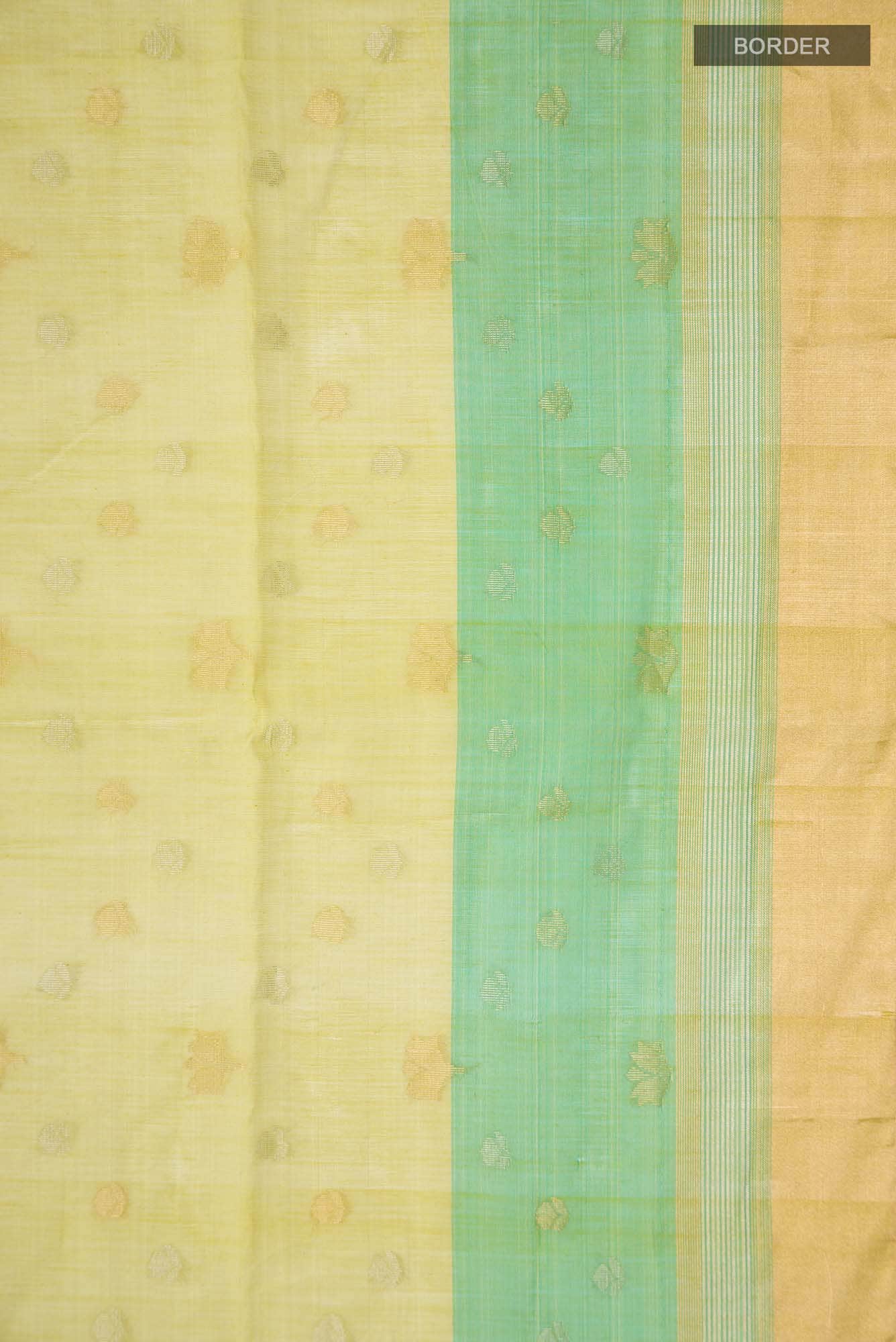 Green Silk Cotton Saree