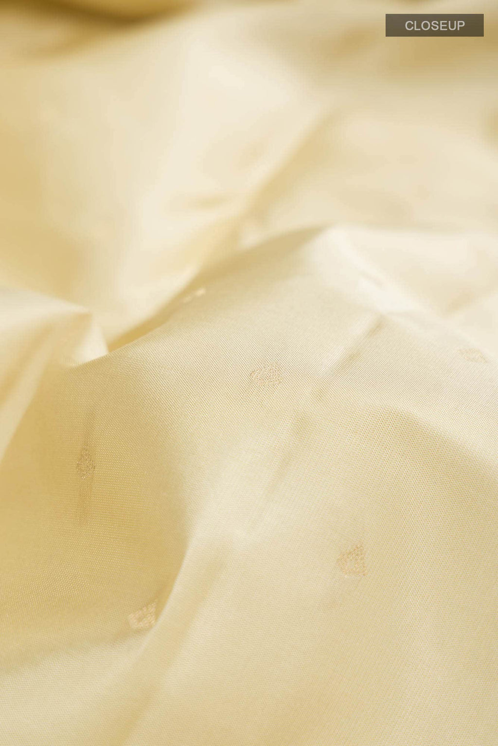Beige Kanchipuram Silk Saree