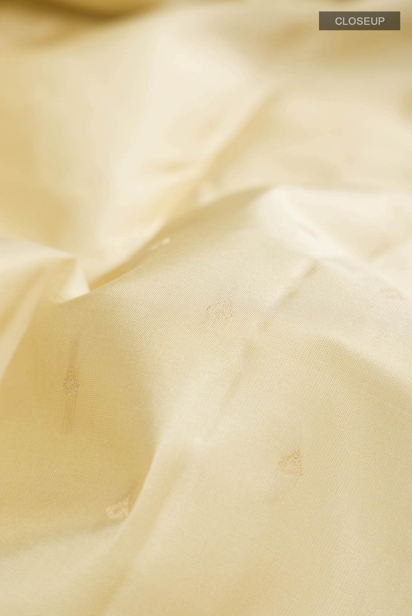 Beige Kanchipuram Silk Saree