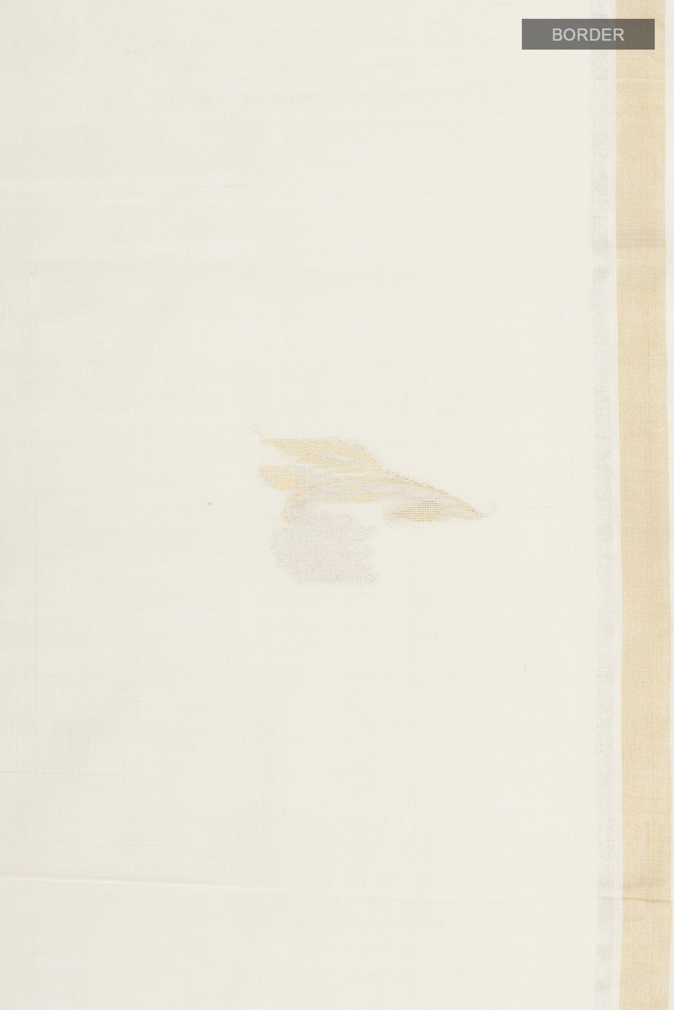 Cream MP Tussar Saree