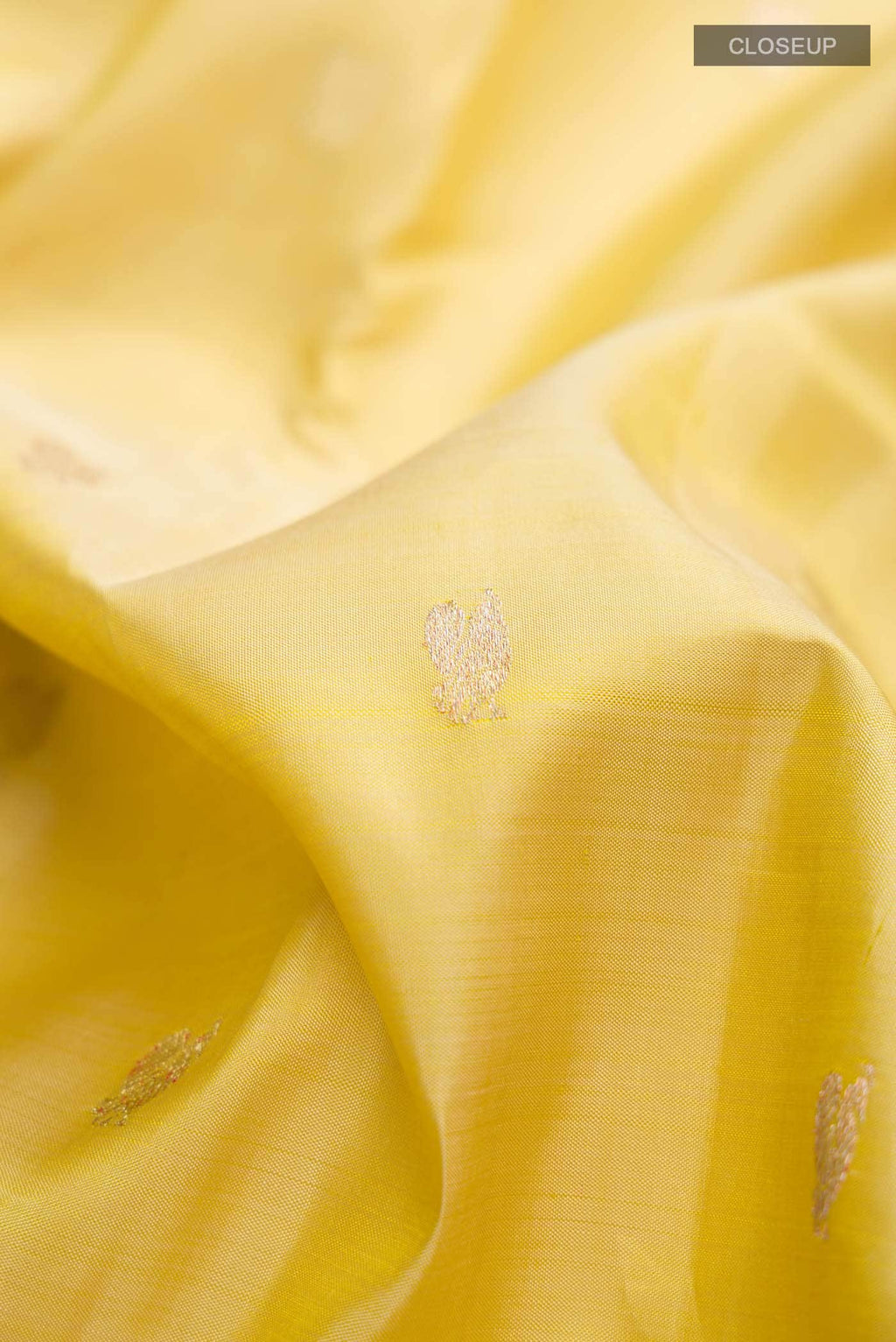 Beige Kanchipuram Silk Saree