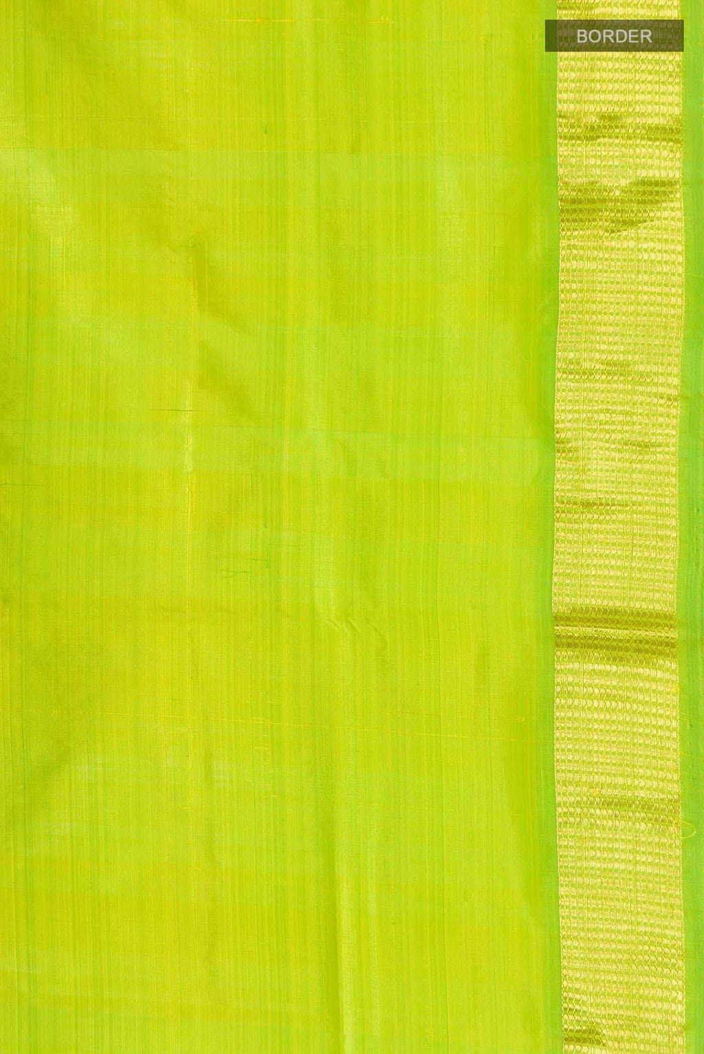 Parrot Green Kanchipuram Silk Nine Yards Saree