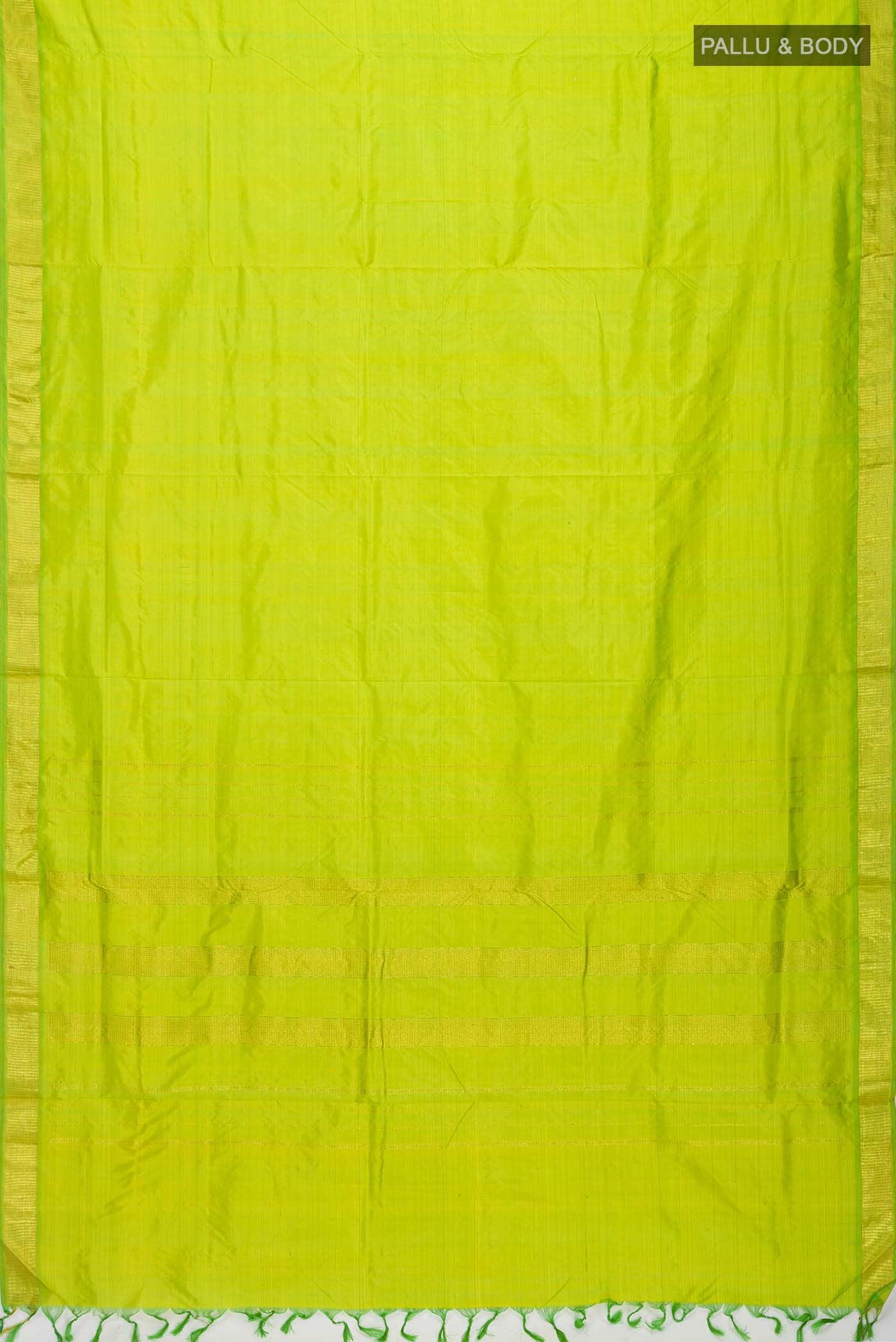 Parrot Green Kanchipuram Silk Nine Yards Saree