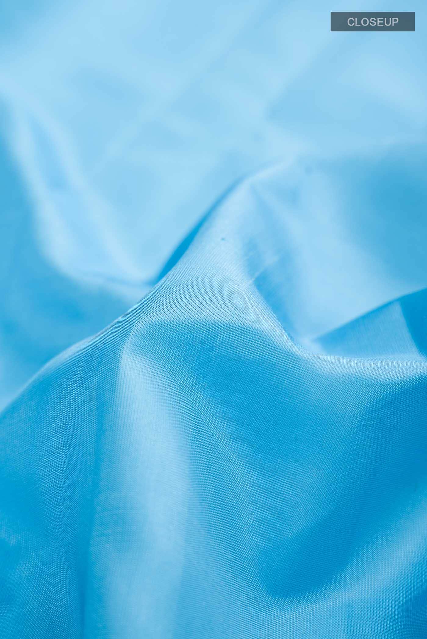 Blue Kanchipuram Silk Saree