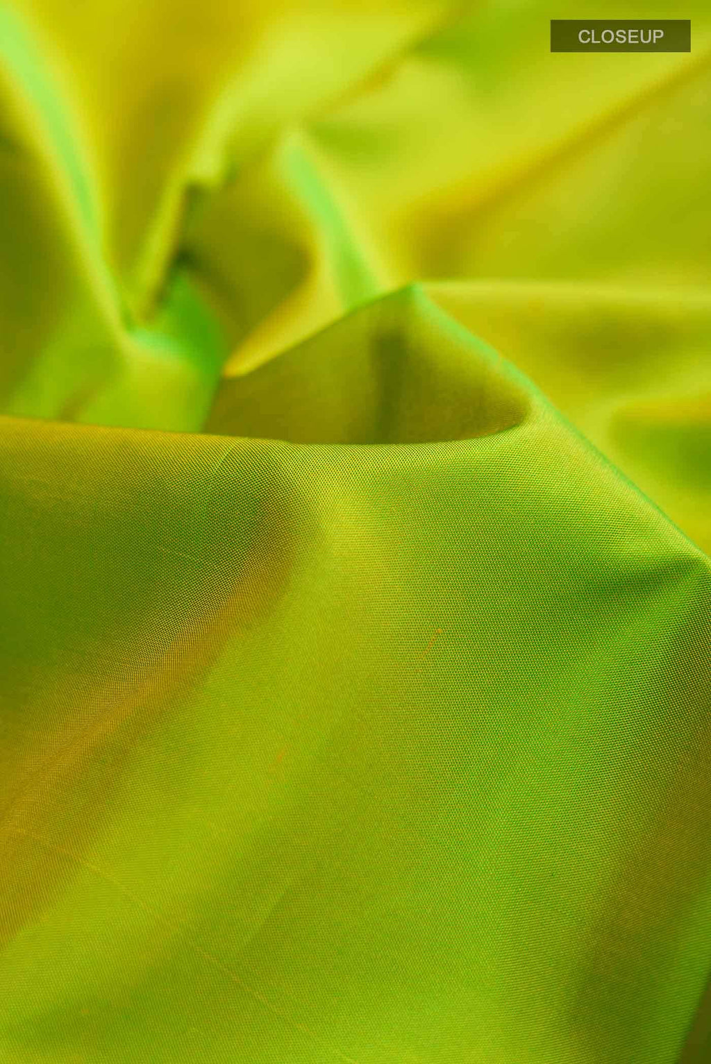 Parrot Green Kanchipuram Silk Saree