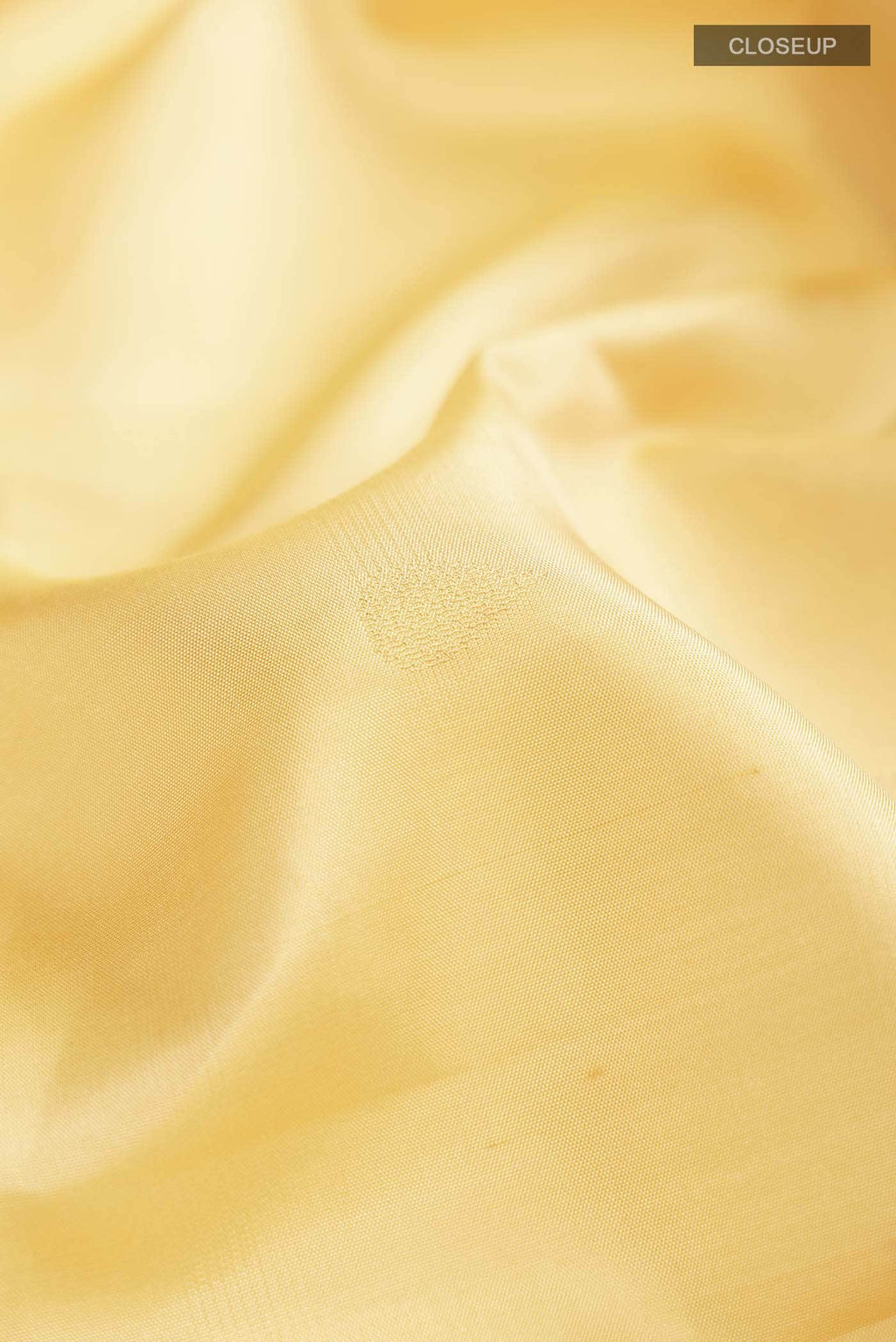 Beige Kanchipuram Silk Saree