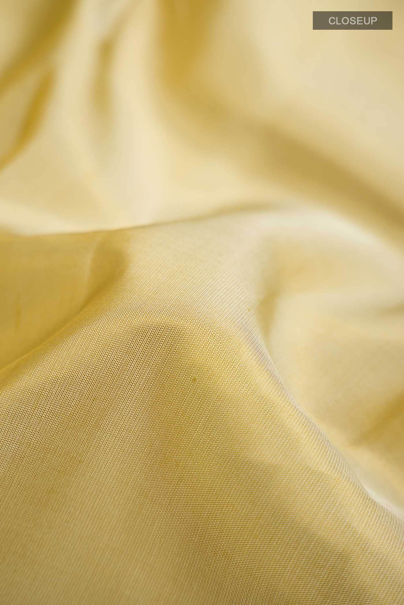 Beige Kanchipuram Silk Saree