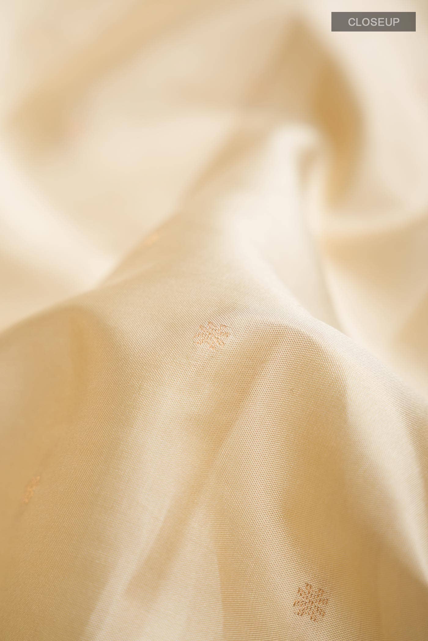 Beige Kanchipuram Silk Saree