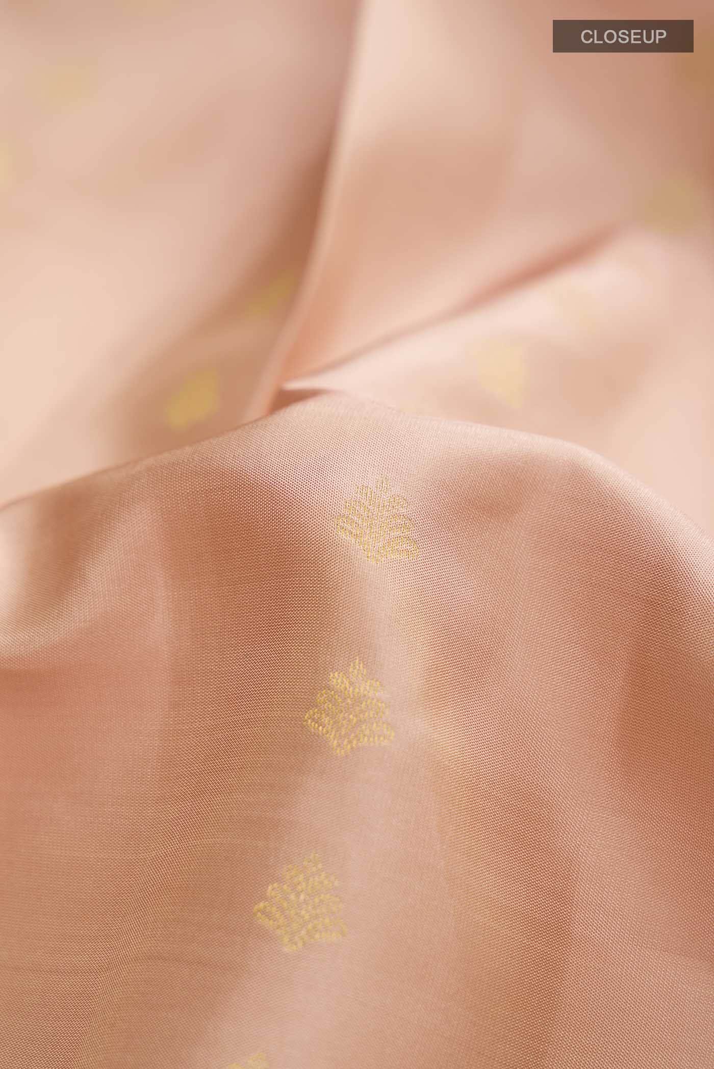 Beige Kanchipuram Silk Saree