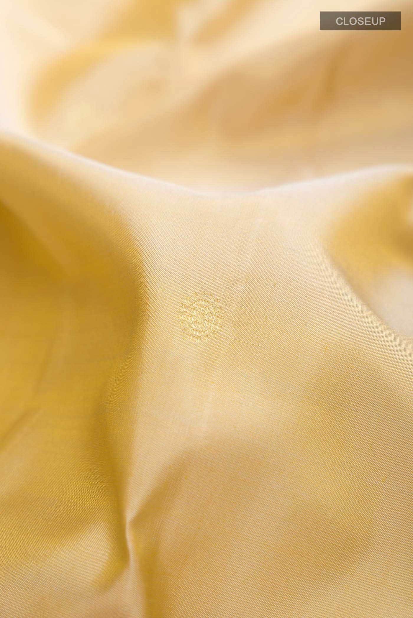 Beige Kanchipuram Silk Saree
