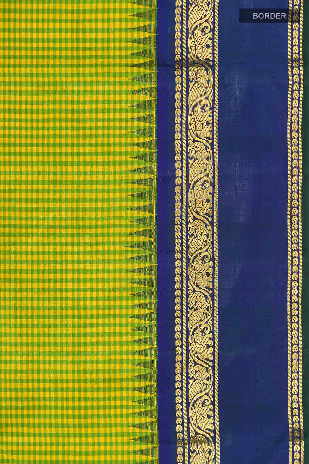 Multi Kanchipuram Silk Saree