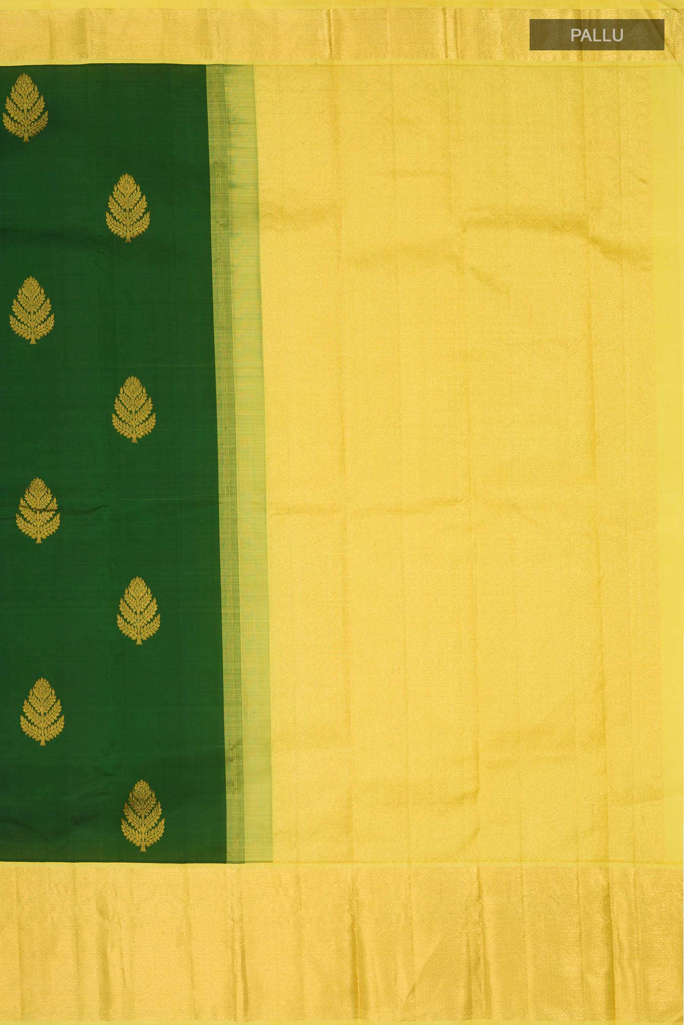 Green Kanchipuram Silk Saree