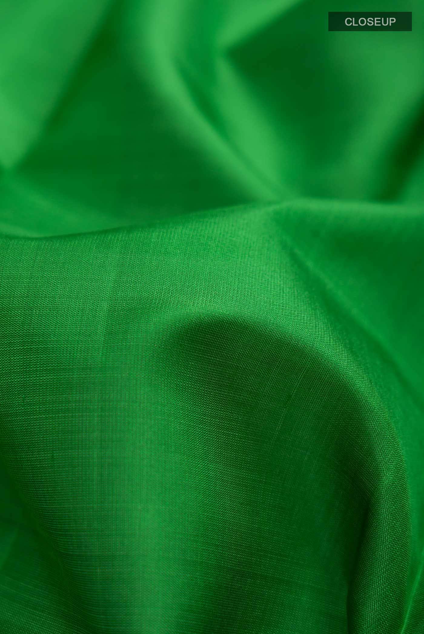 Green Kanchipuram Silk Saree