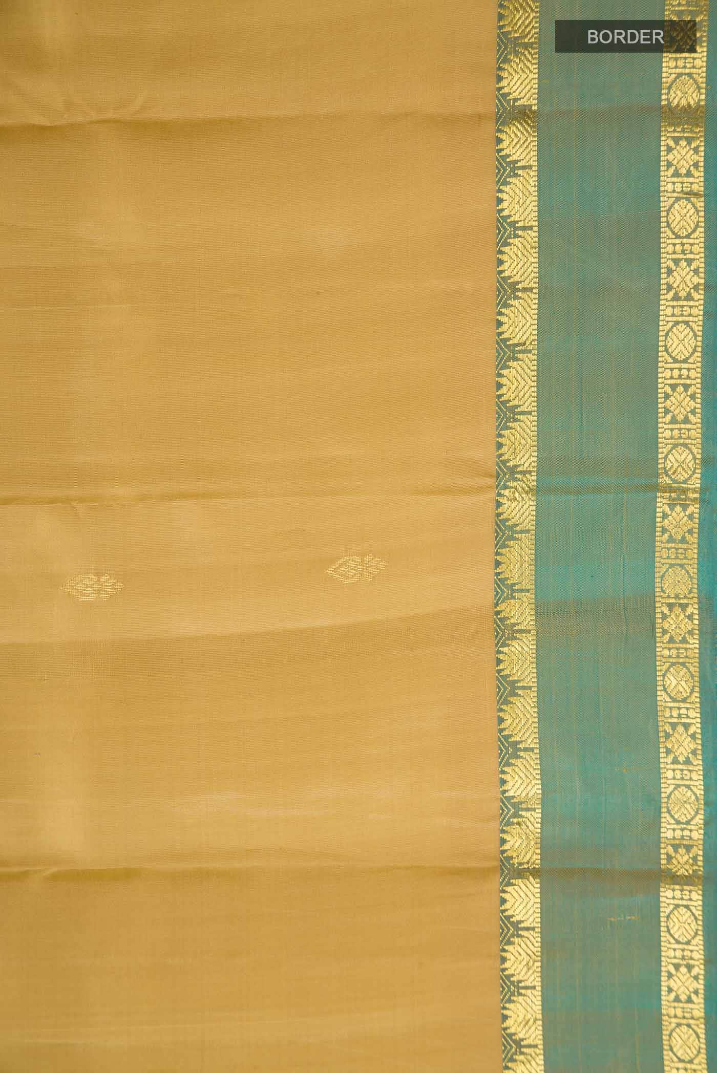 Dark Beige Kanchipuram Silk Saree