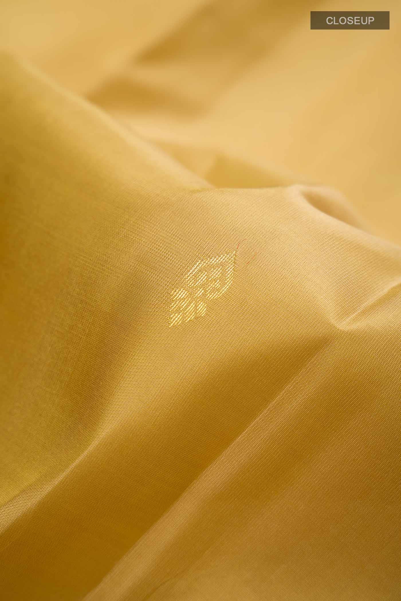 Dark Beige Kanchipuram Silk Saree