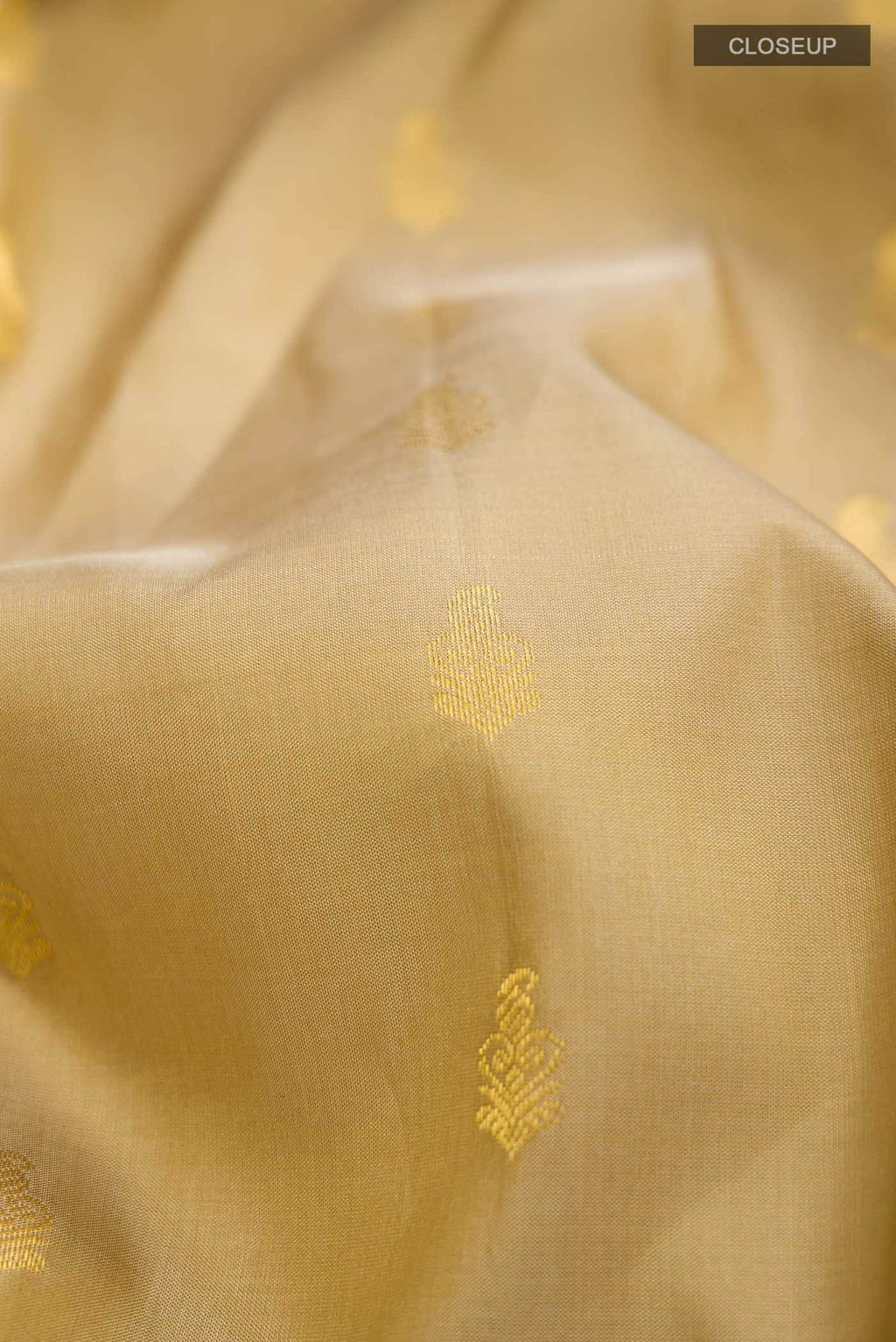 Beige Kanchipuram Silk Saree