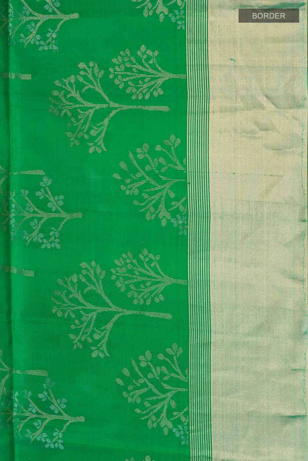 Green Dual Tone Soft Silk Saree