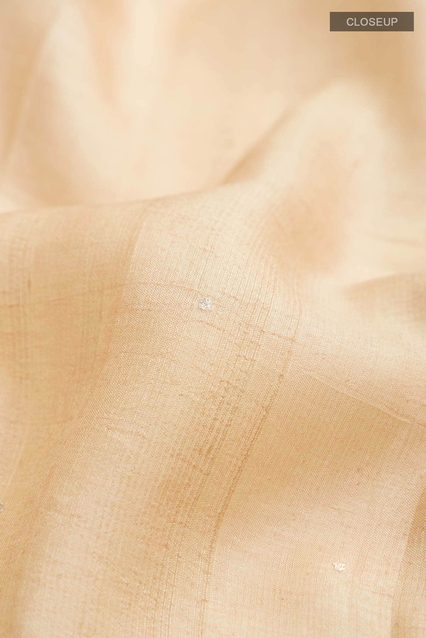 Beige Tussar Silk Saree