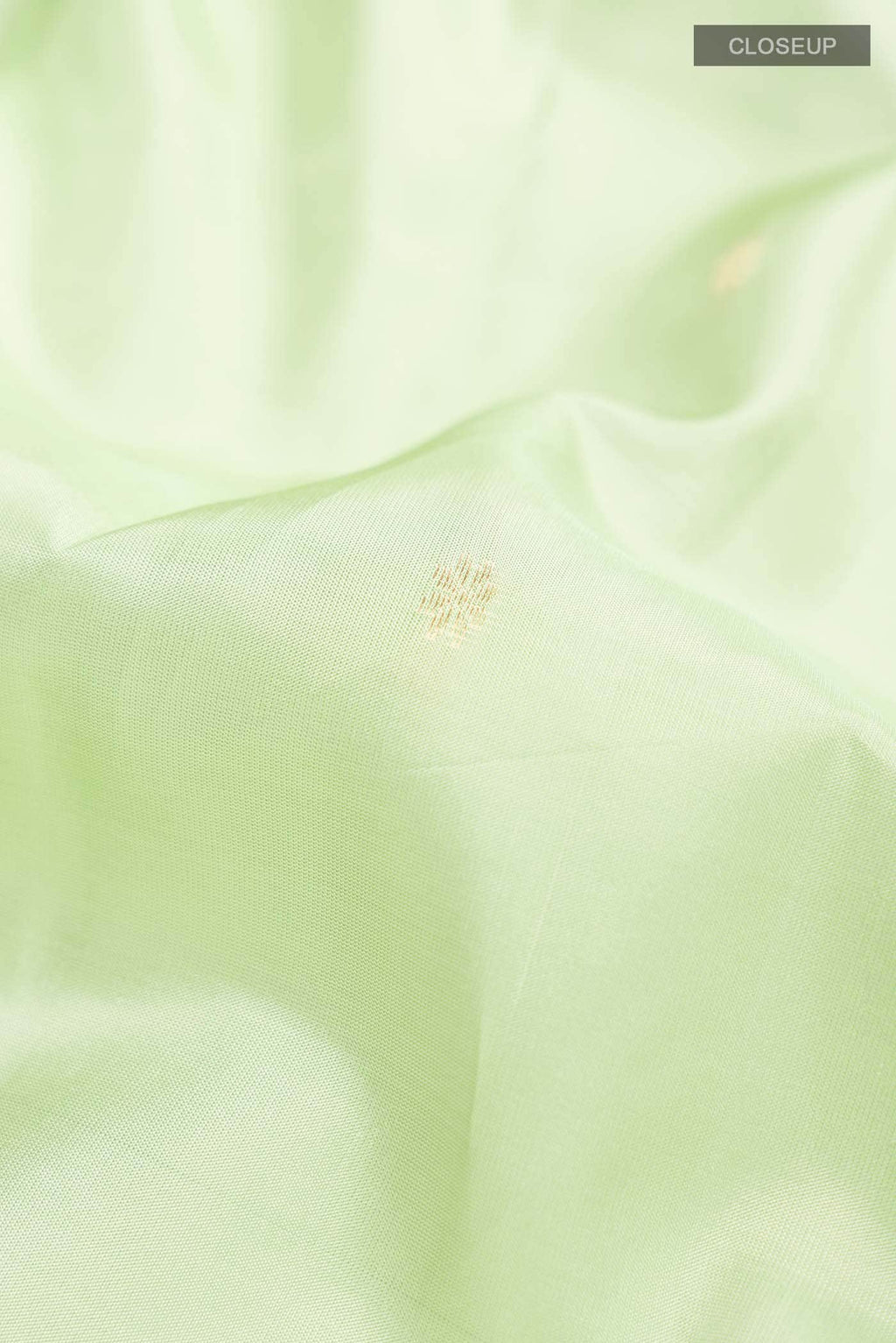 Green Dual Tone Kanchipuram Silk Saree