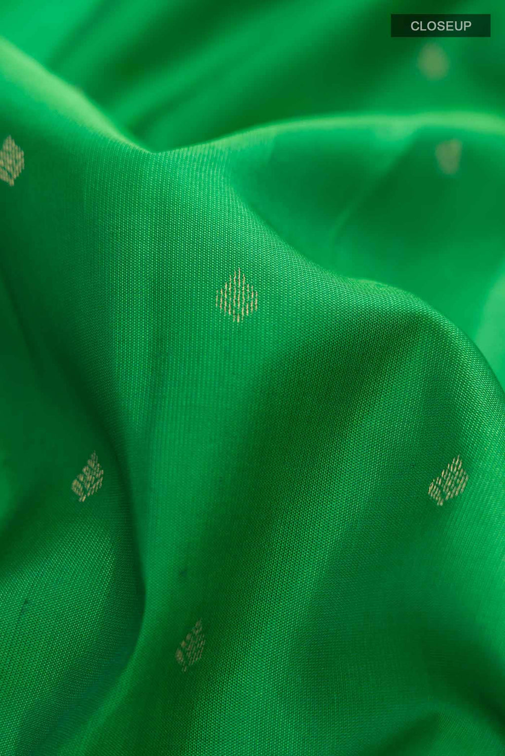 Green Kanchipuram Silk Saree