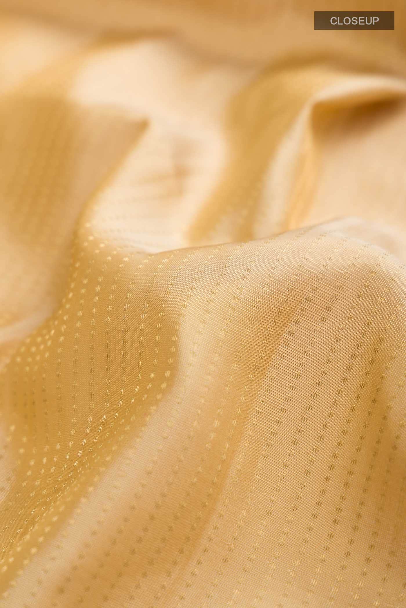 Beige Kanchipuram Silk Saree