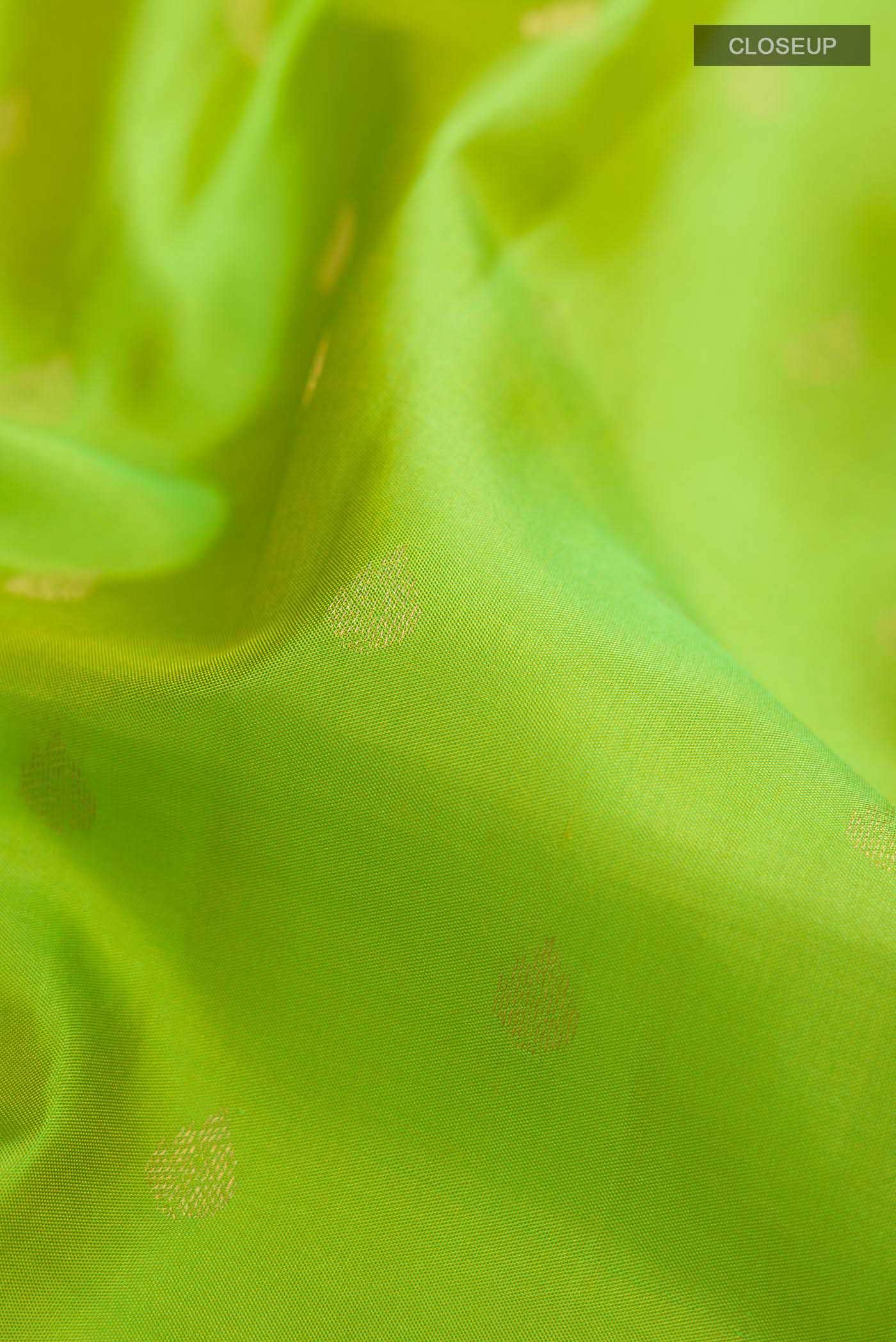 Green Kanchipuram Silk Saree