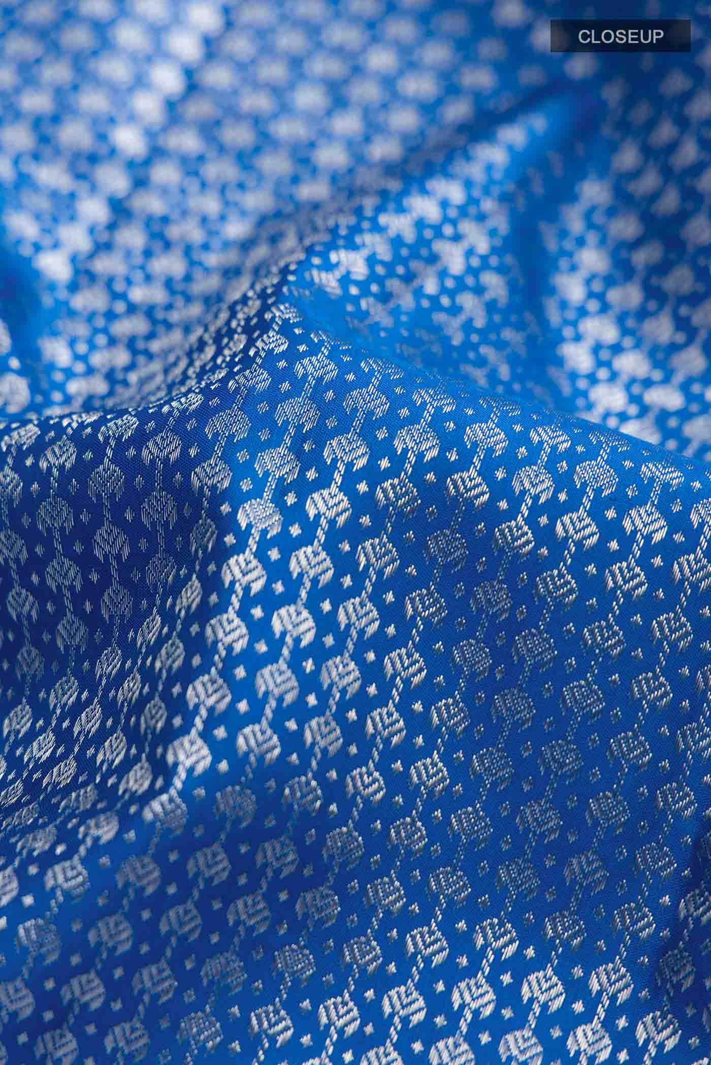 Blue Kanchipuram Silk Saree