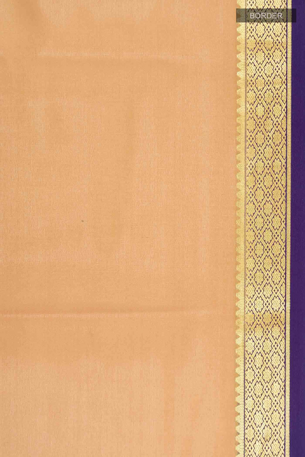 Beige Mysore Crepe Saree