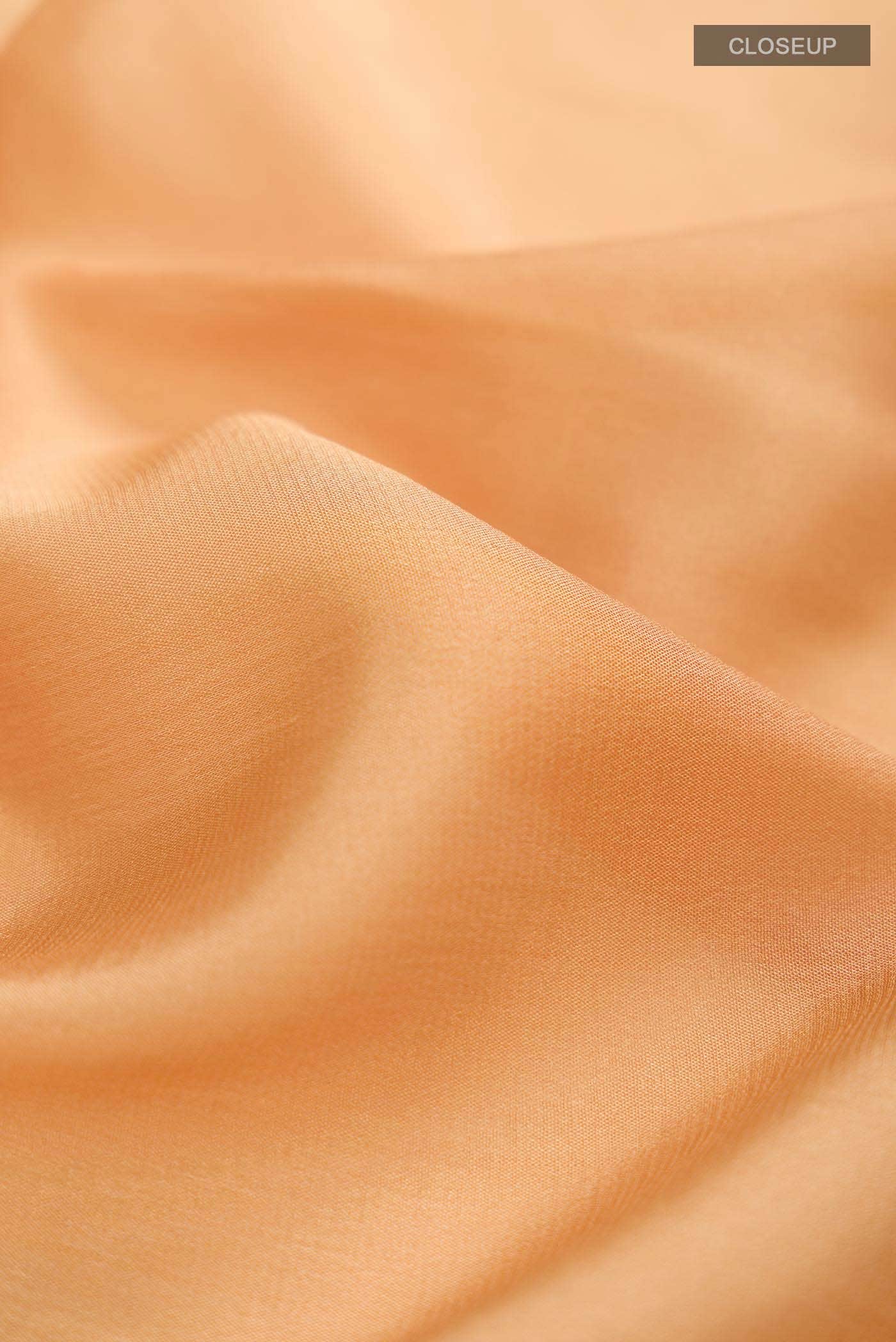 Beige Mysore Crepe Saree